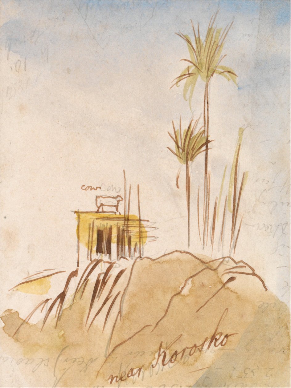  av Edward Lear
