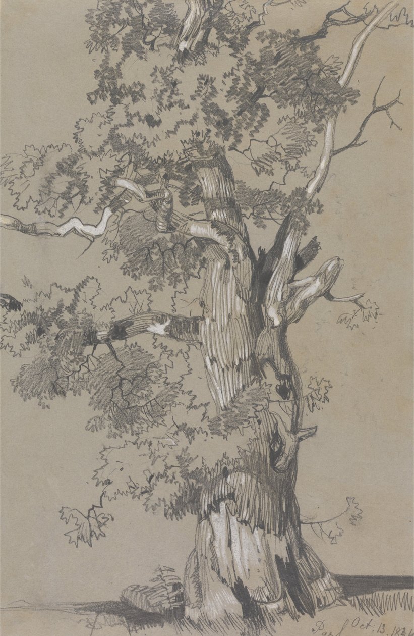  av Edward Lear