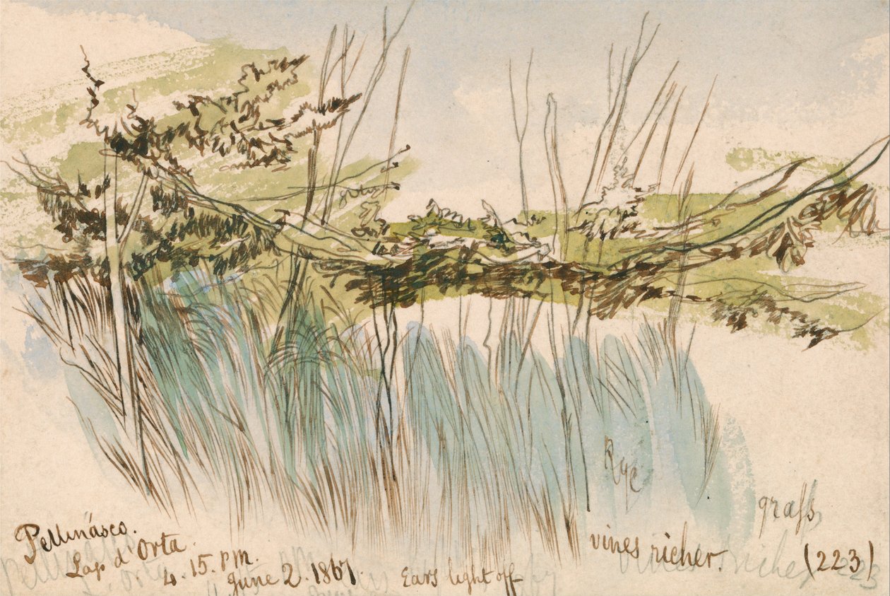Pettenasco, Ortasjøen av Edward Lear