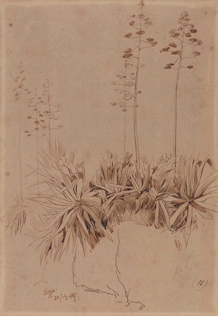  av Edward Lear