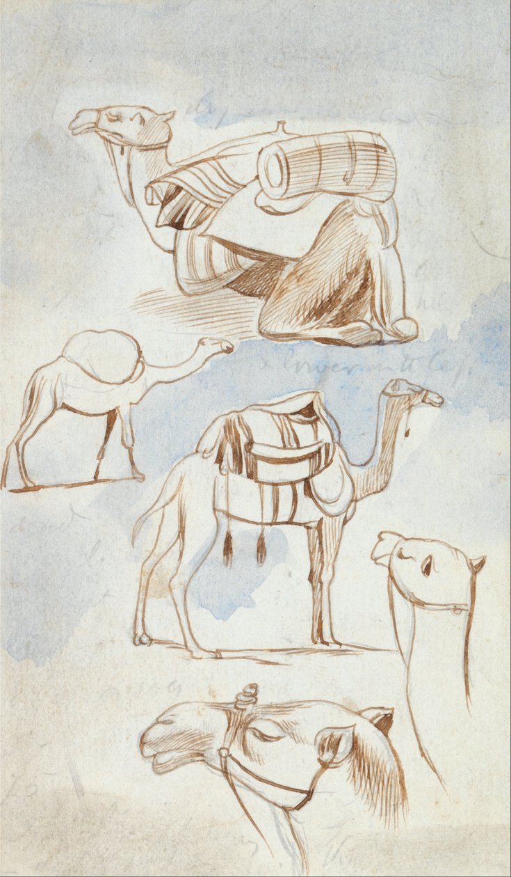  av Edward Lear