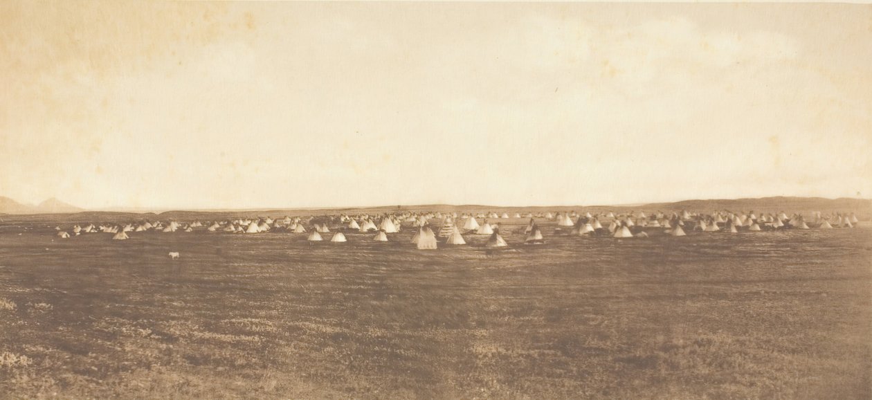 Sun Dance Encampment - Piegan, 1900. av Edward Sheriff Curtis