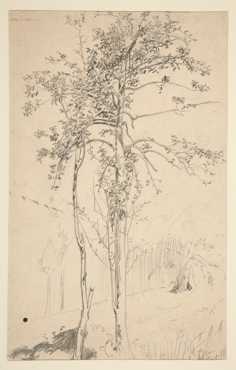 Studie av to trær av Edwin Austin Abbey