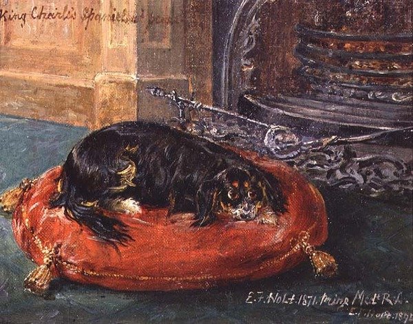 King Charles Spaniel i hvile av Edwin Frederick Holt