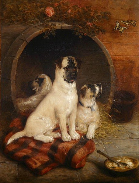 Lev og lær av Edwin Frederick Holt