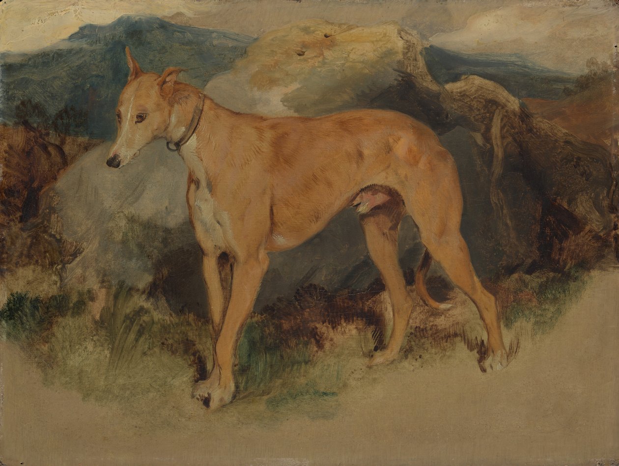 En hjortehund, 1826. av Edwin Landseer