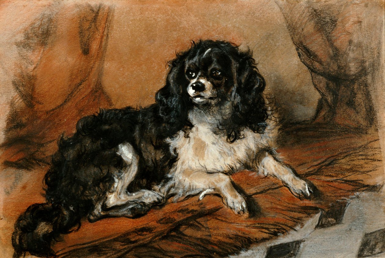 En King Charles Spaniel av Edwin Landseer