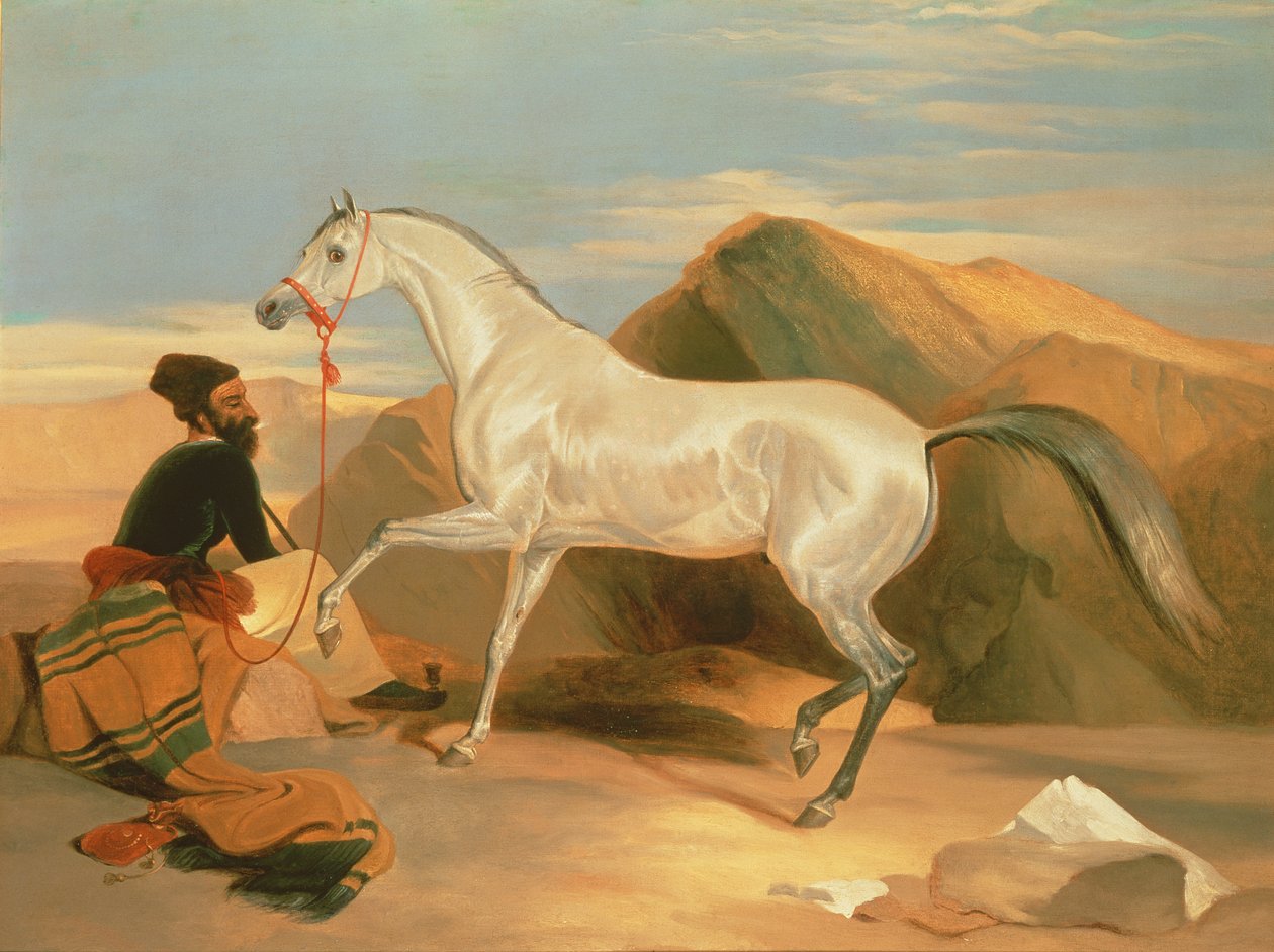 Arabisk hingst av Edwin Landseer