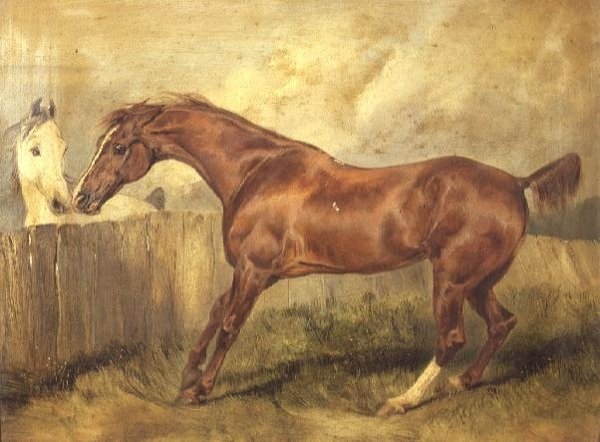 Marianne, en favorittjeger av Edwin Landseer