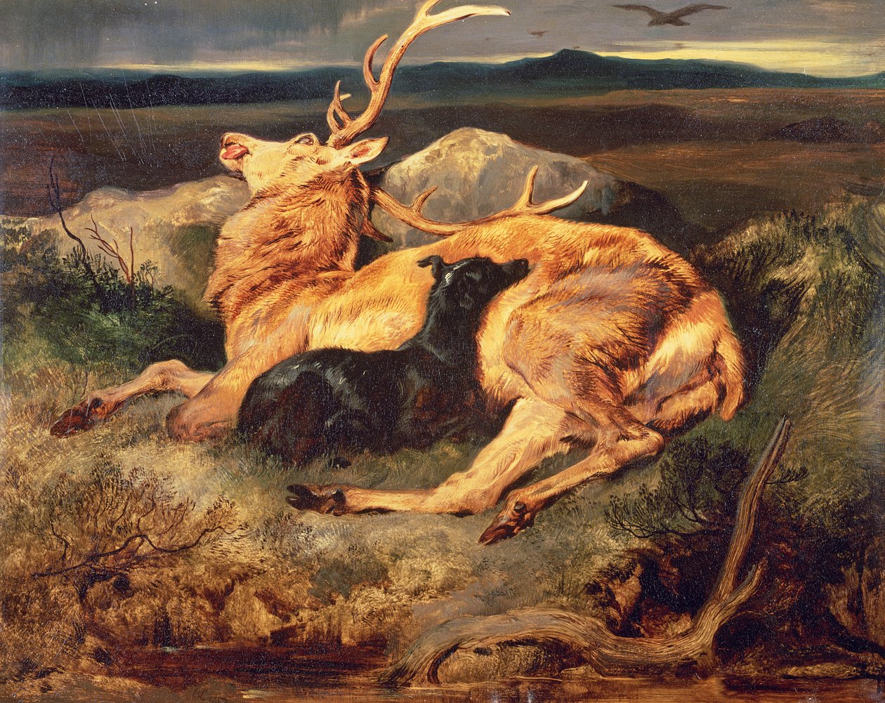Stag av Edwin Landseer