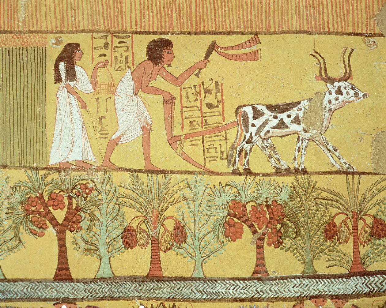 Sennedjem og hans kone i markene såing og jordarbeid, fra graven til Sennedjem, The Workers Village, New Kingdom (veggmaleri) av Egyptian 19th Dynasty