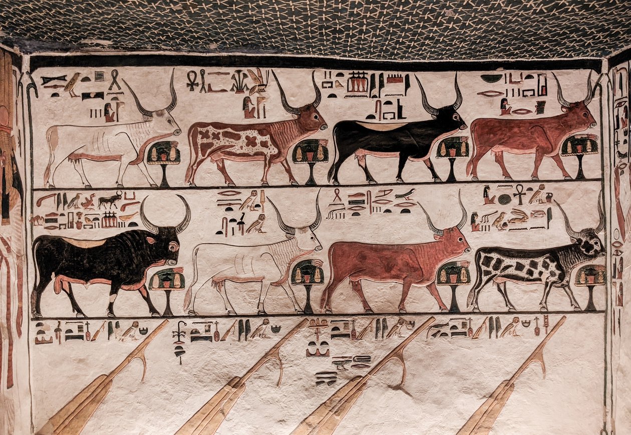 Graven til Nefertari (veggmaleri) av Egyptian 19th Dynasty