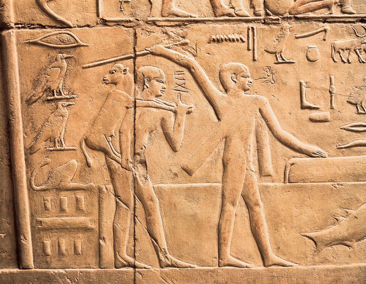 Scener av gårdsarbeid, detaljer av Egyptian 4th Dynasty