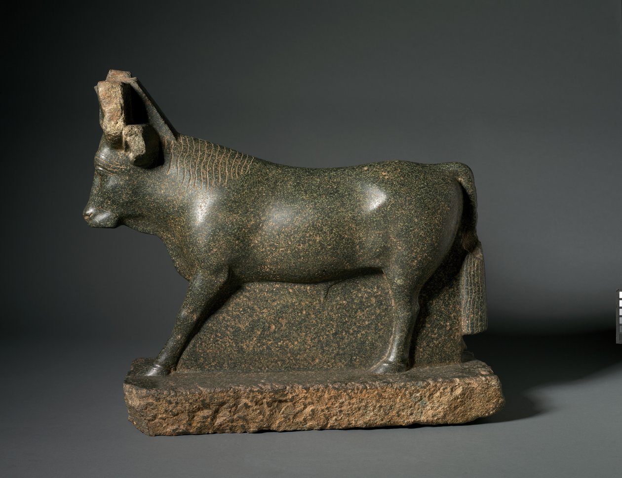 Apis Bull, 400–100 f.Kr. (serpentinitt) av Egyptian Ptolemaic Period