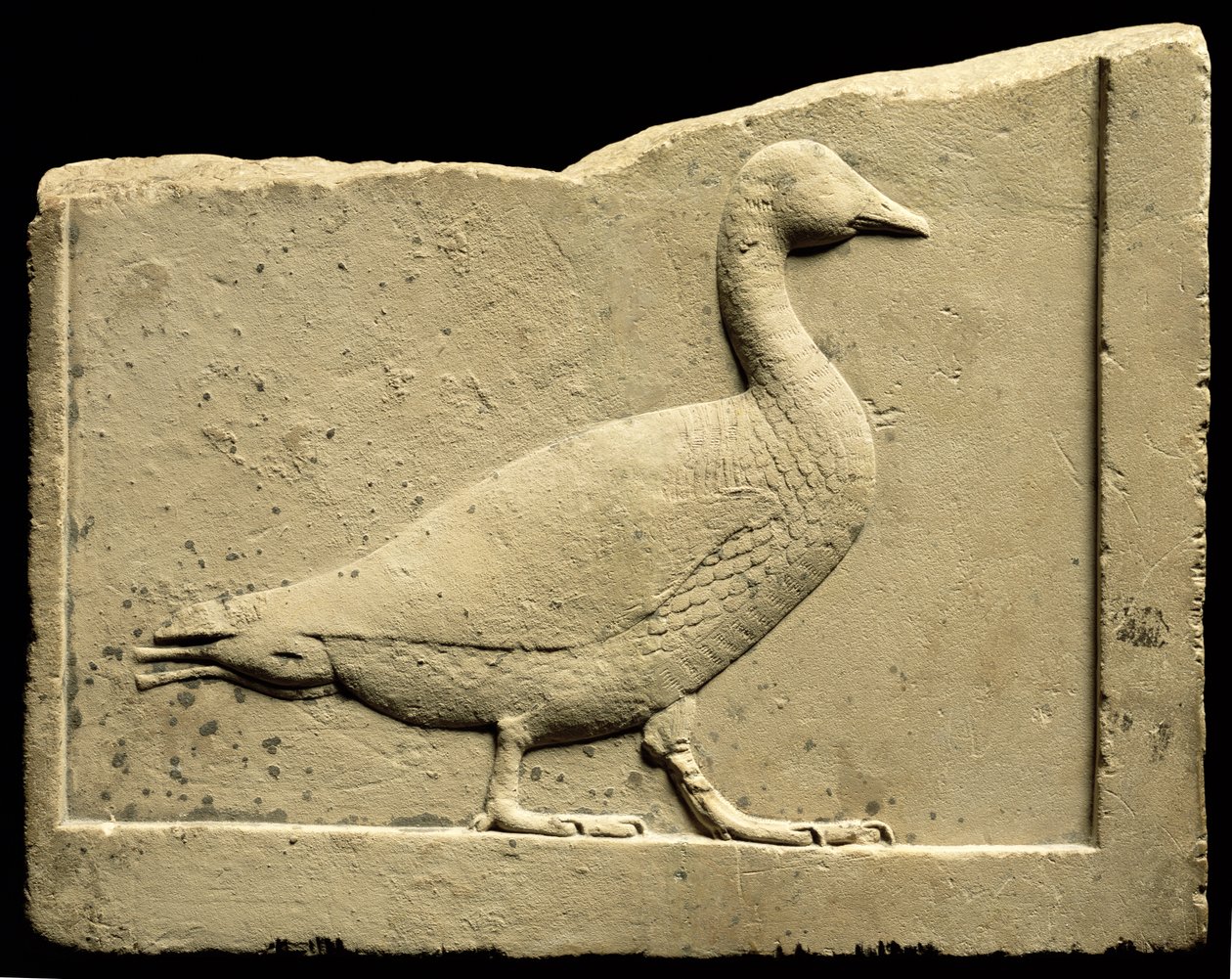 Relieff som viser en gås (kalkstein) av Egyptian Ptolemaic Period
