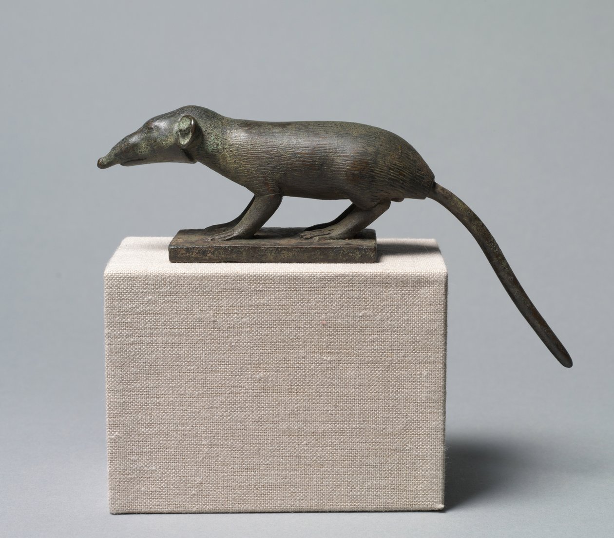 Shrew, 305-30 f.Kr av Egyptian Ptolemaic Period
