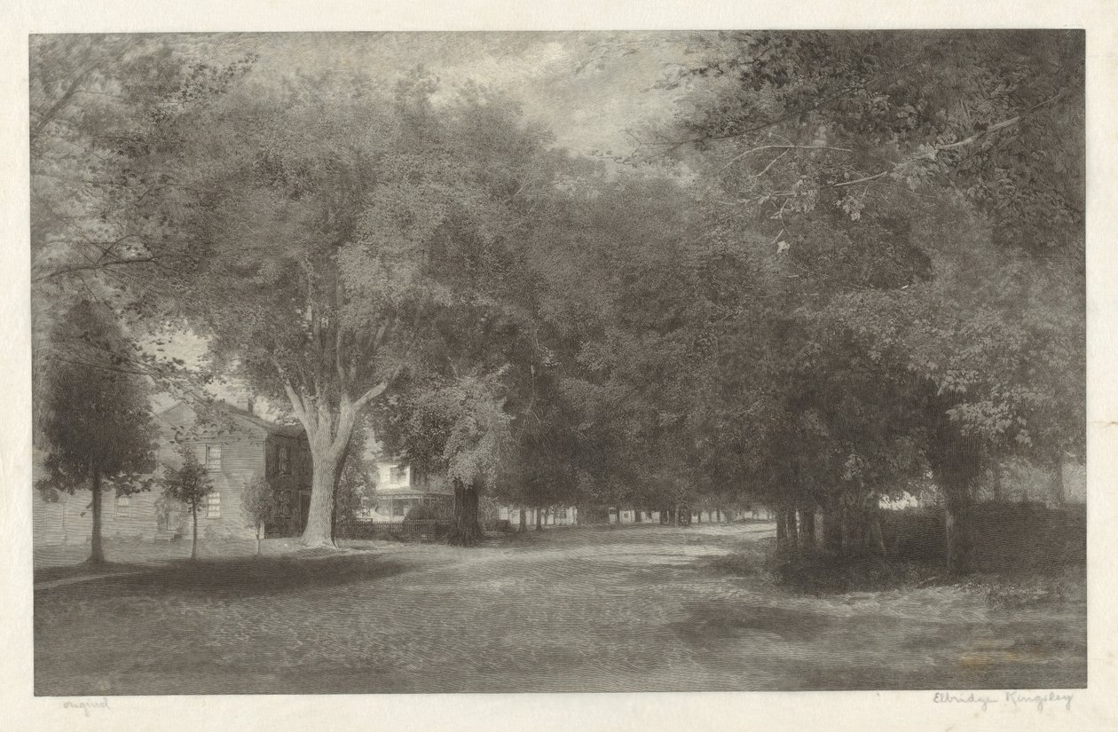 New England Elms av Elbridge Kingsley