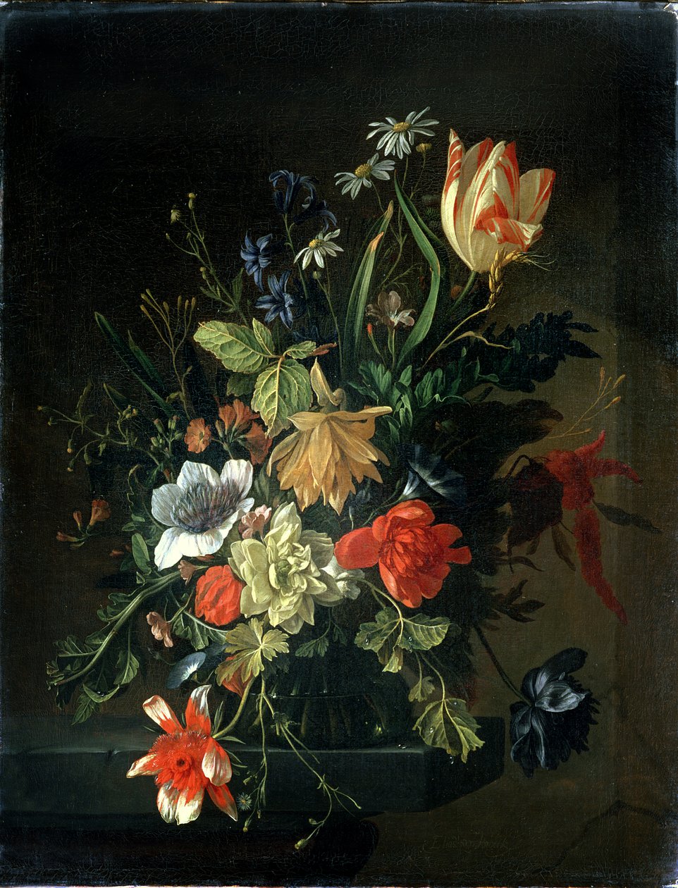 Ukjent bilde av Elias van den Broeck
