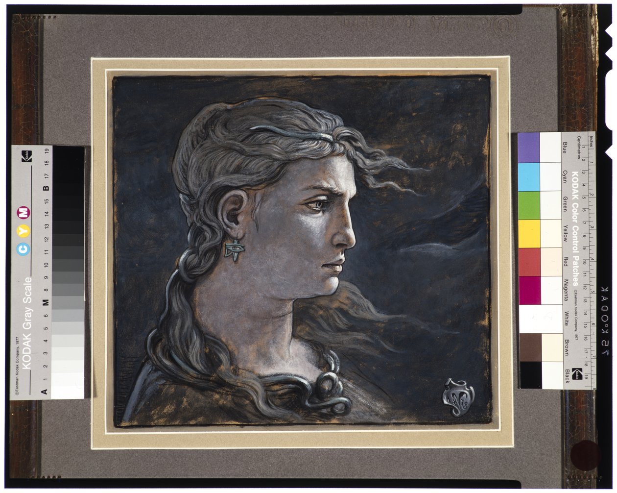 Leder av Medusa, 1878 av Elihu Vedder