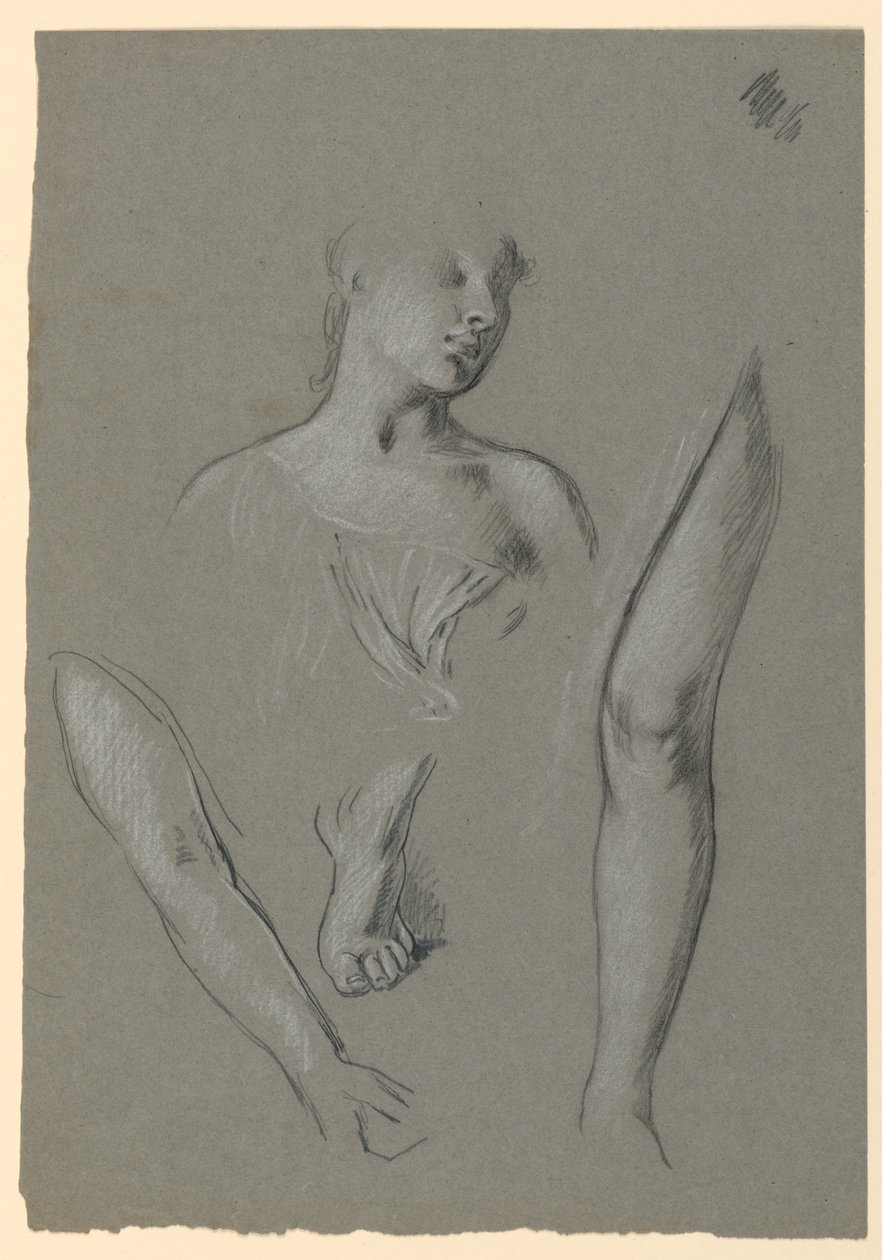 detaljer om figurstudier av Elihu Vedder