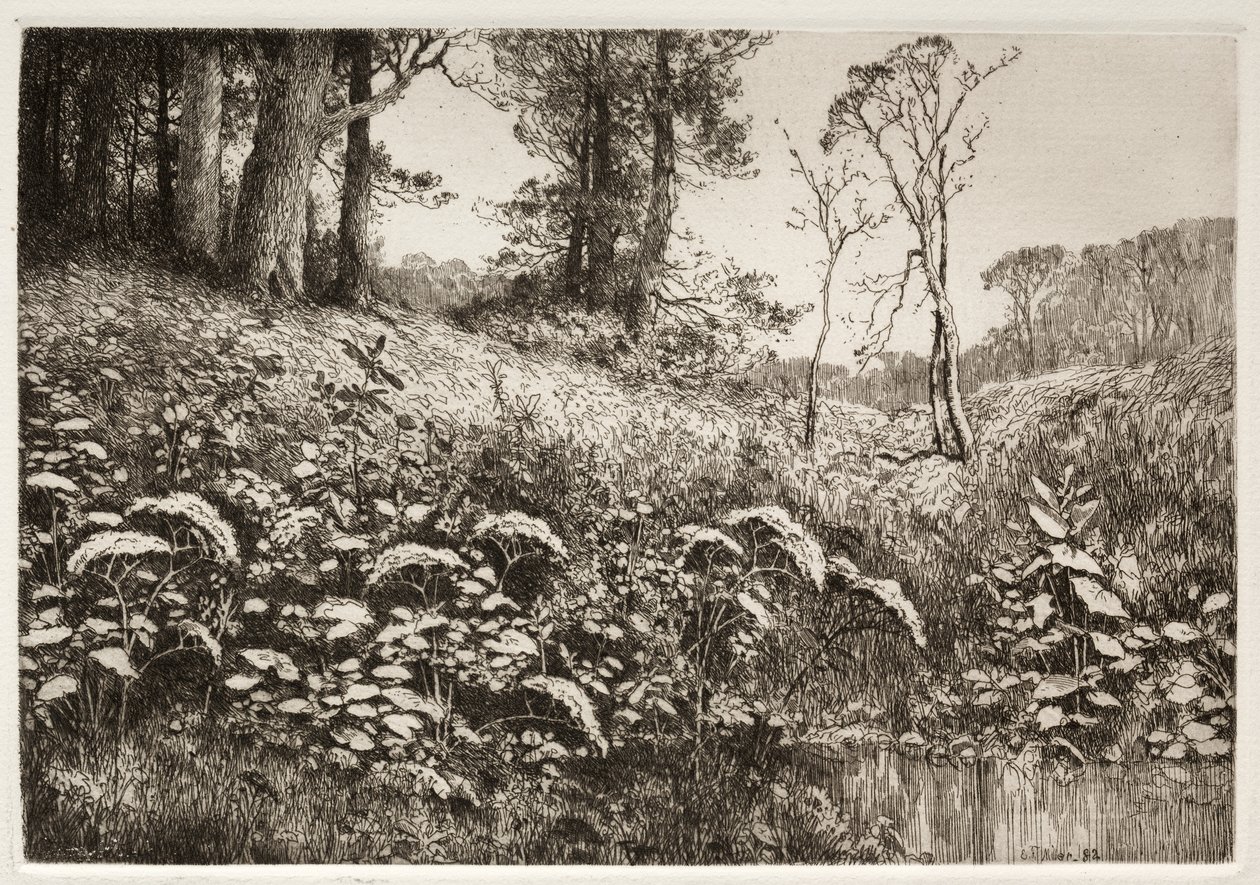 En sommerettermiddag av Elis F. Miller