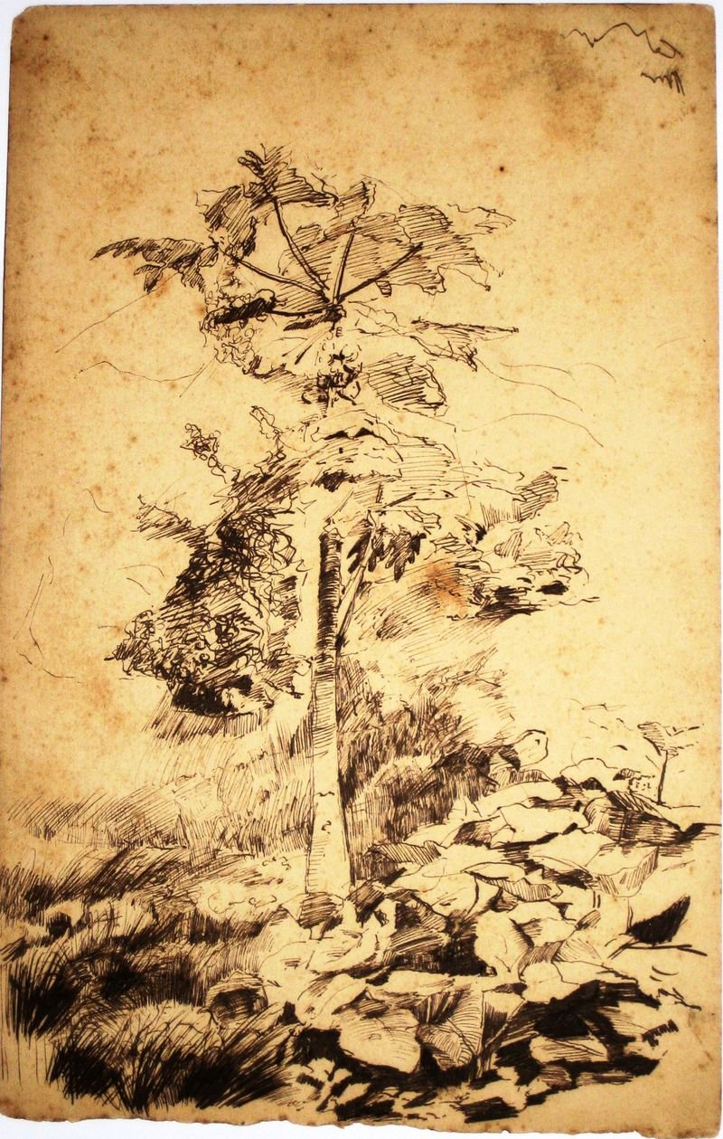 Papaya -treet av Eliseu Visconti