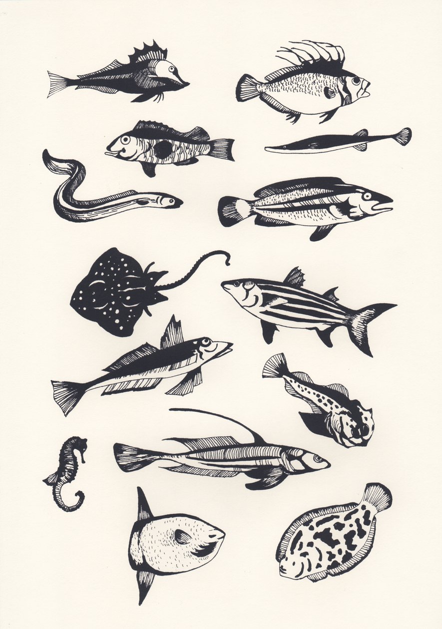 Monotone Plain Fish, 2015 (skjermtrykk) av Eliza Southwood