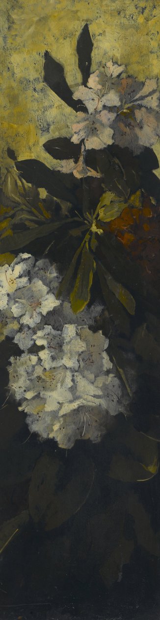 Rhododendron av Elizabeth Boott Duveneck