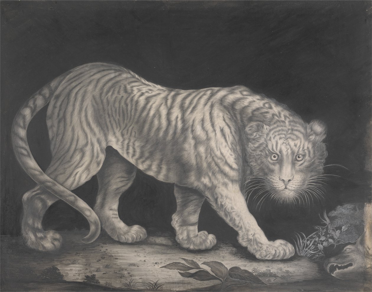 En springende tiger av Elizabeth Pringle