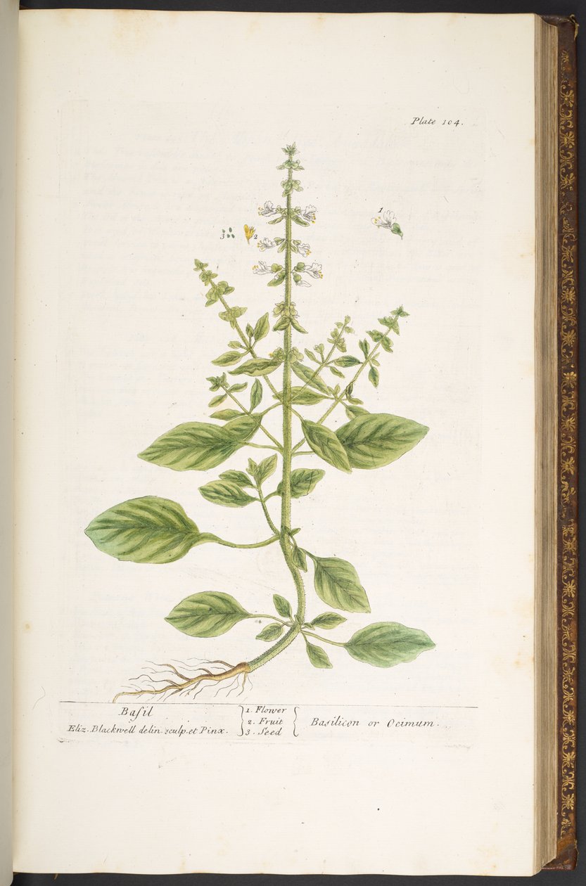 Tallerken 104, fra 