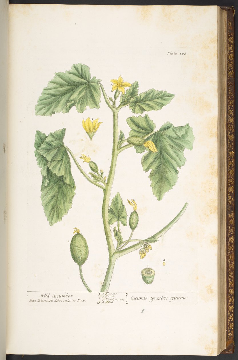 Tallerken 108, fra 