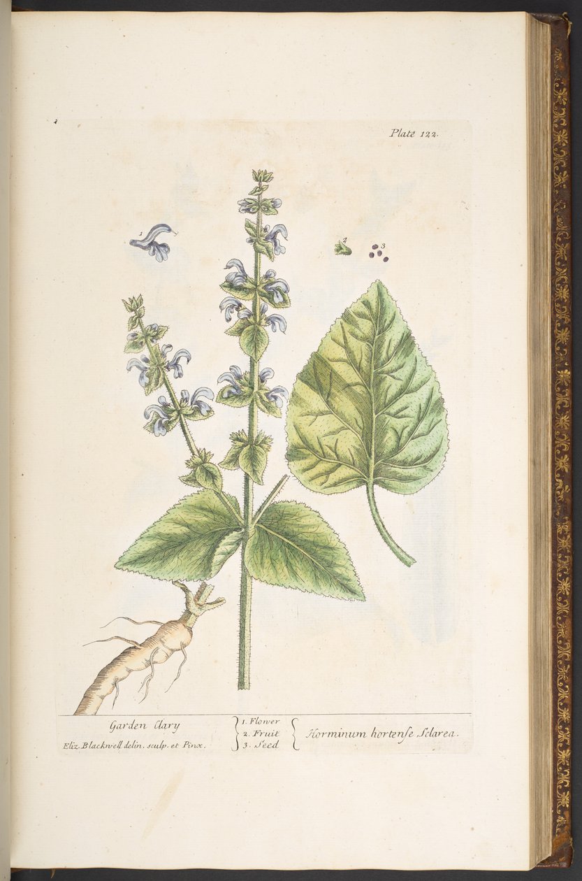Tallerken 122, fra 