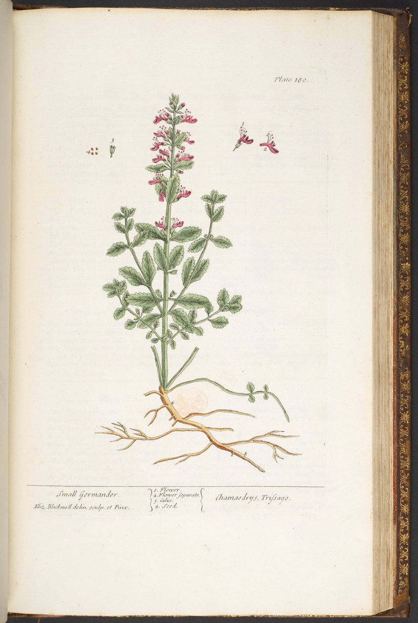 Tallerken 180, fra 