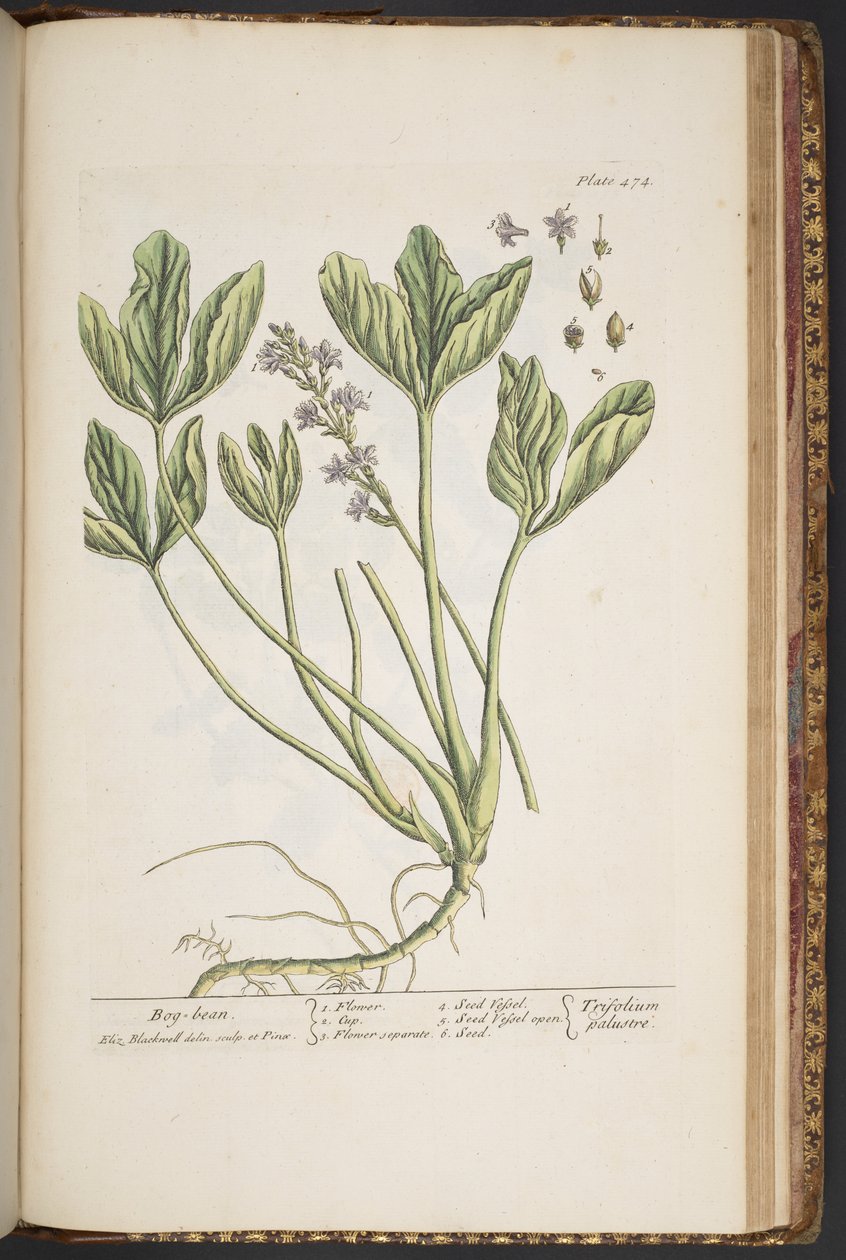 Tallerken 474, fra 