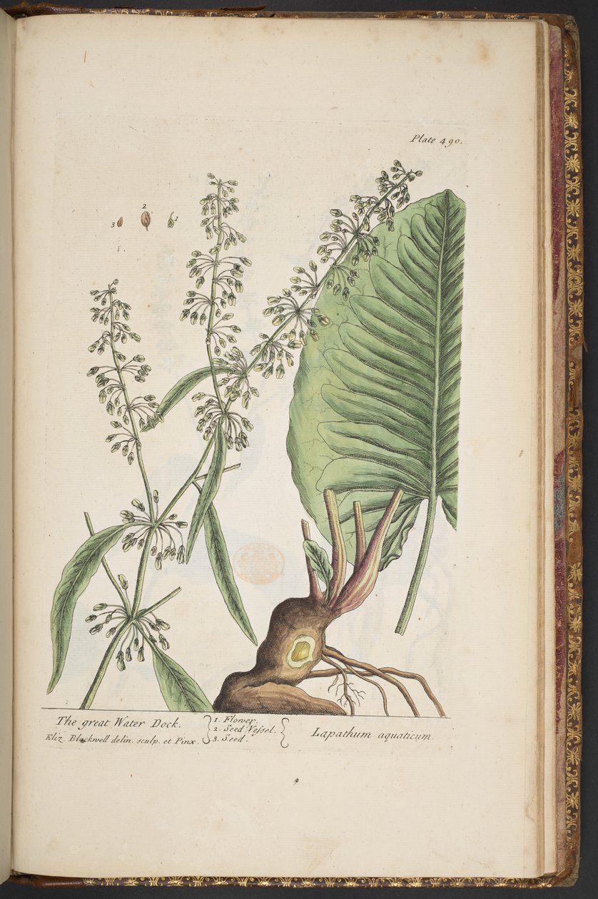 Tallerken 490, fra 