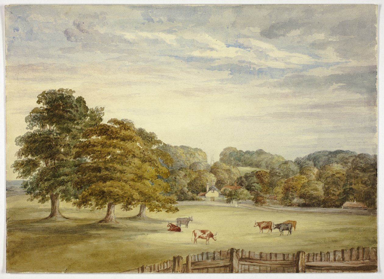 Seks kyr beiter før Country House av Elizabeth Murray