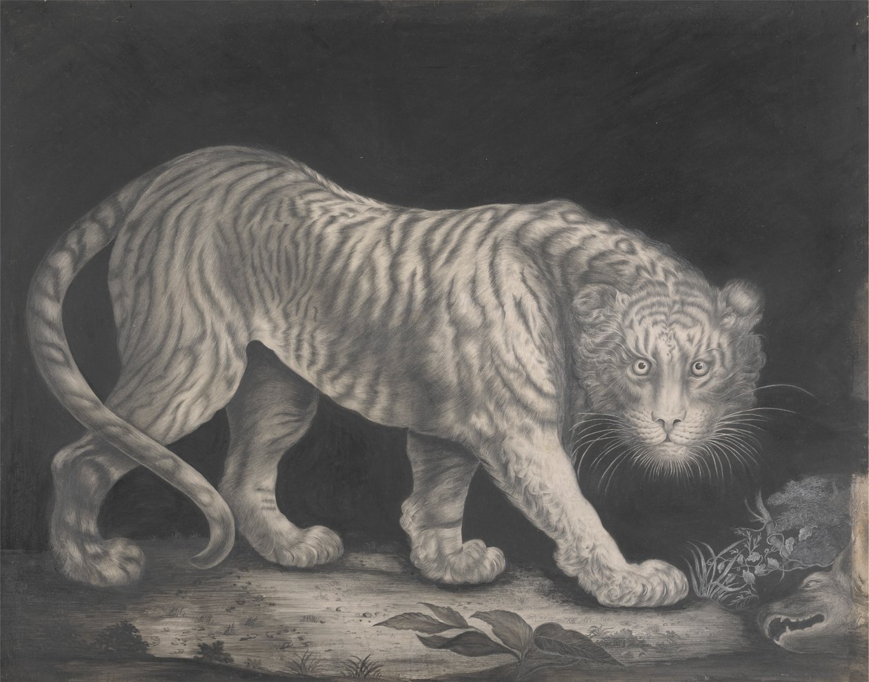 En snikende tiger av Elizabeth Pringle