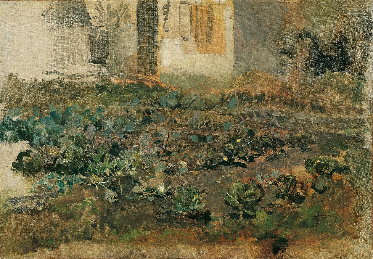Kohlrübenfeld av Emil Jakob Schindler