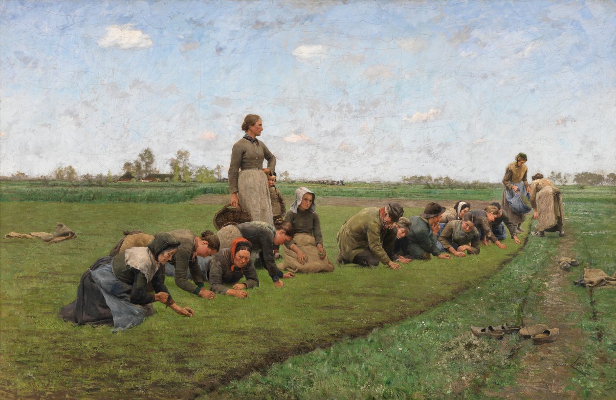 Linluking i Flandern av Emile Claus