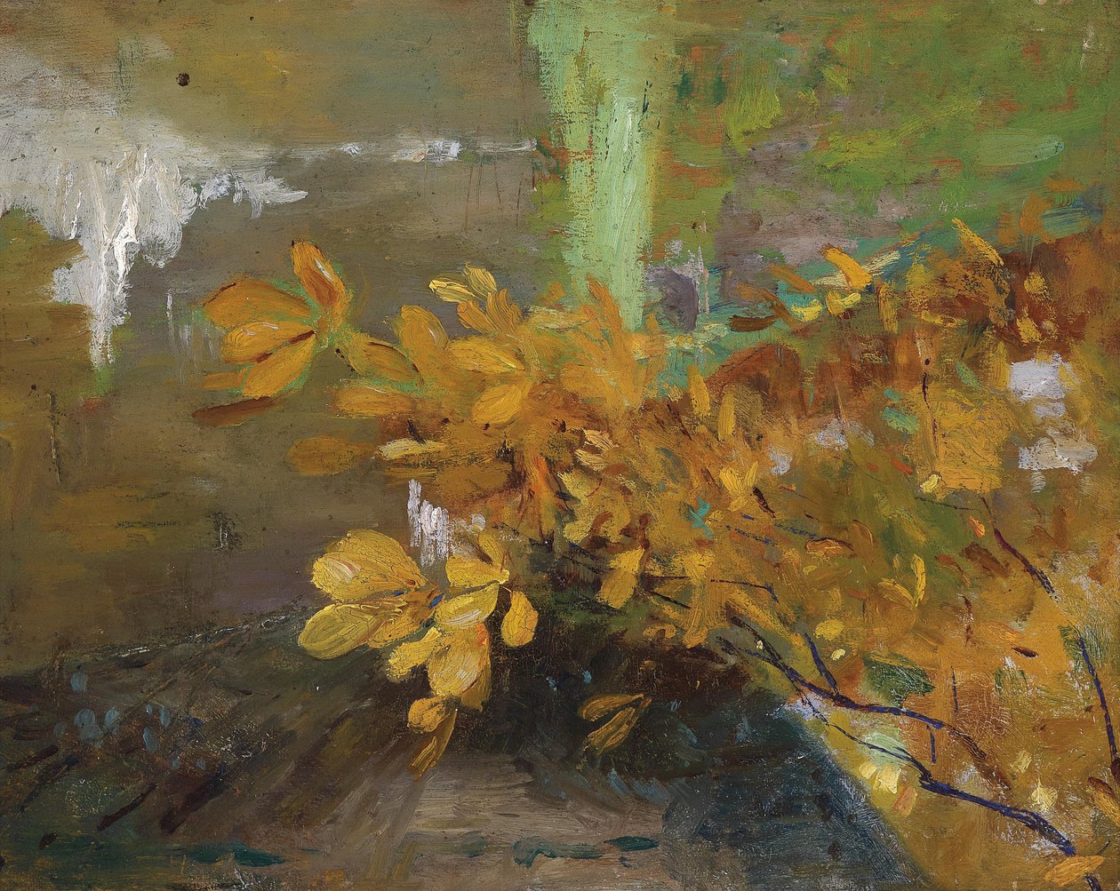P1476, fra av Emilie Mediz Pelikan