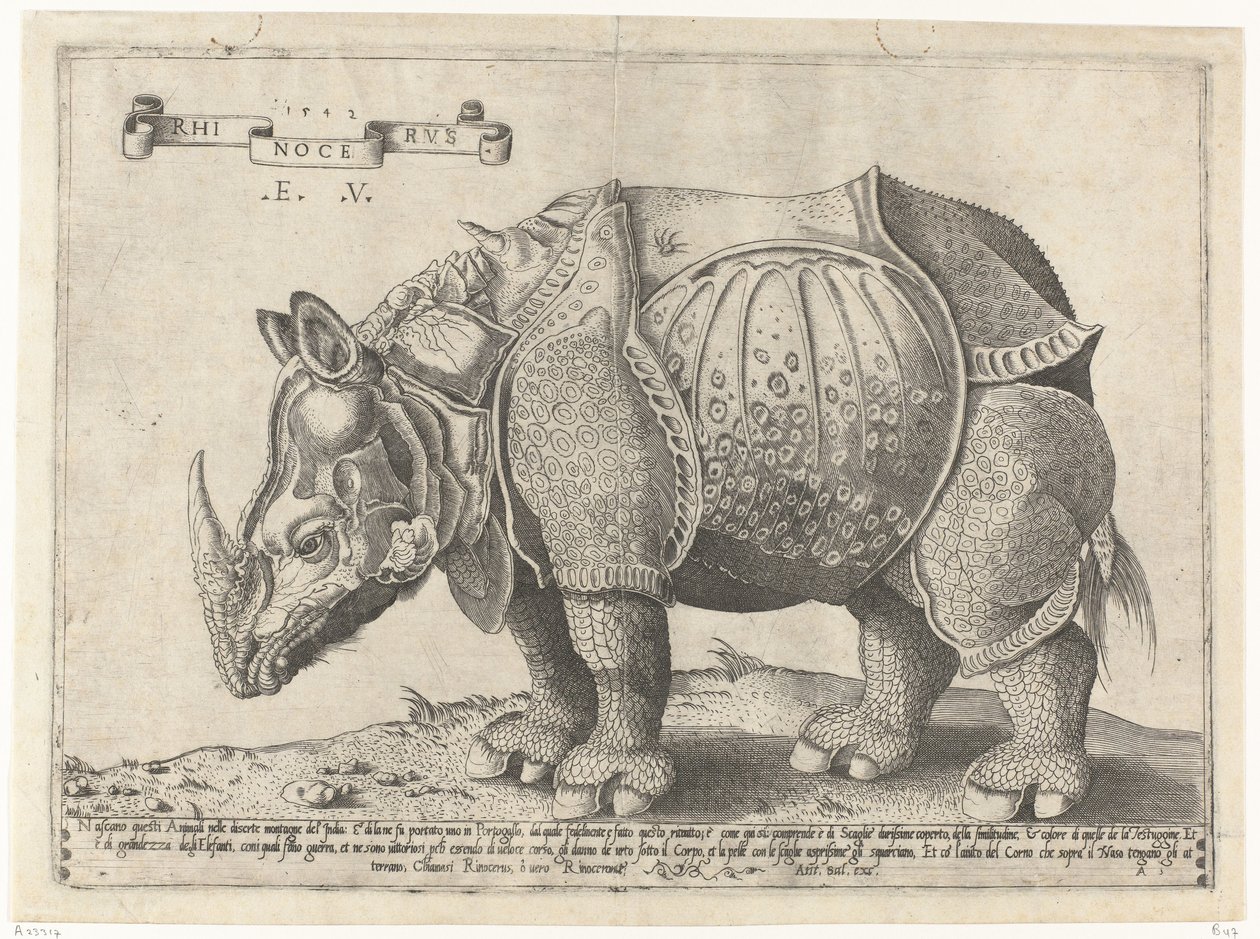 Neushoorn Neshorn (tittel på objekt) av Enea Vico