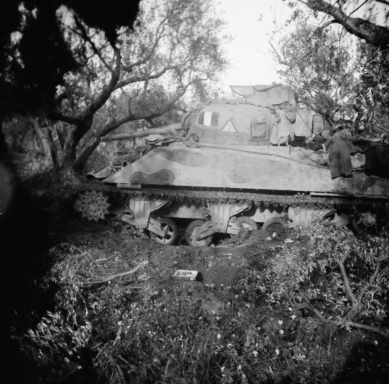 2Tp tank blåst på minefelt, ca. 1944 av English Photographer