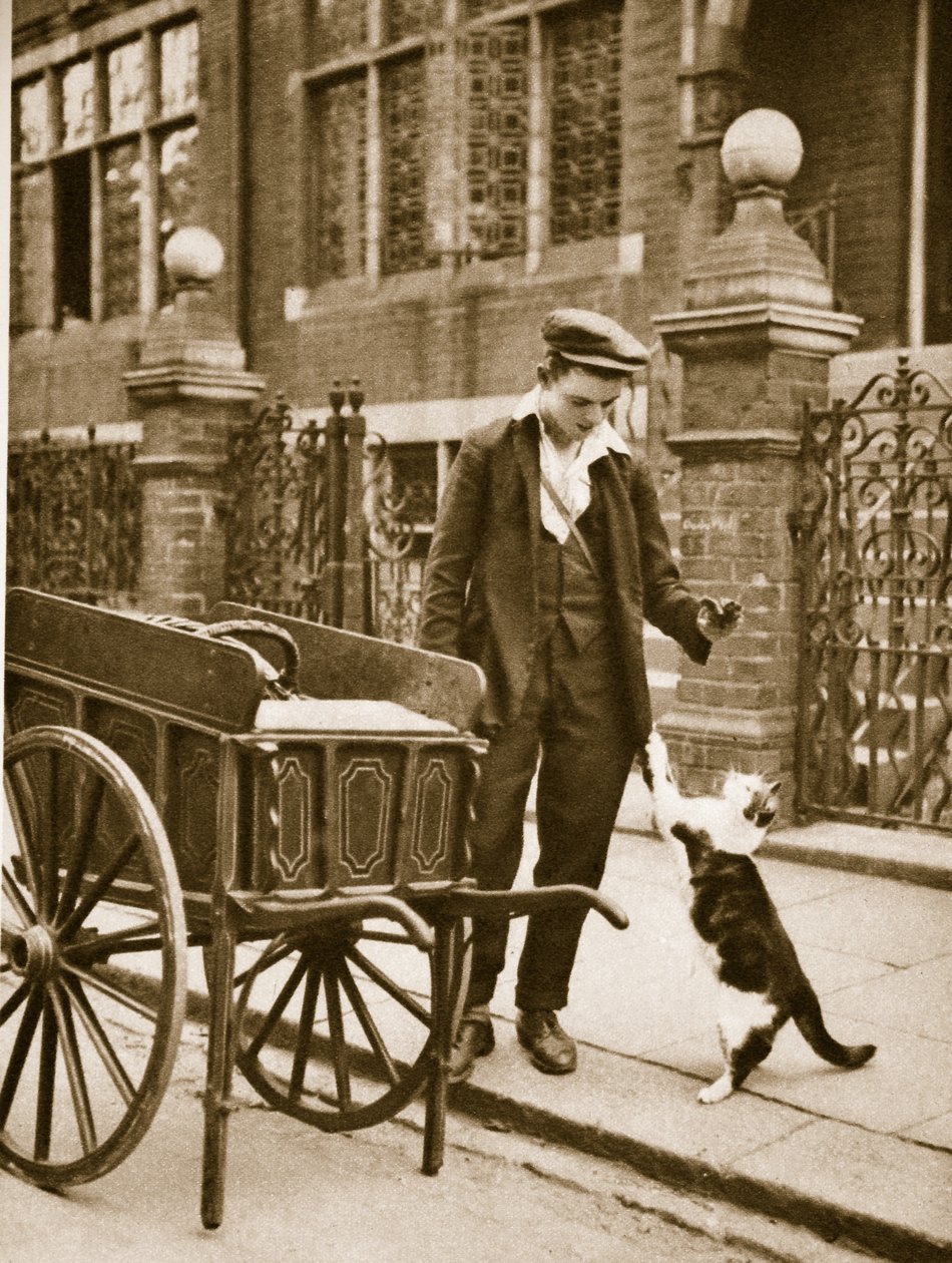 En mann med kattekjøtt som holder kjøtt frem for en katt (sepia-bilde) av English Photographer
