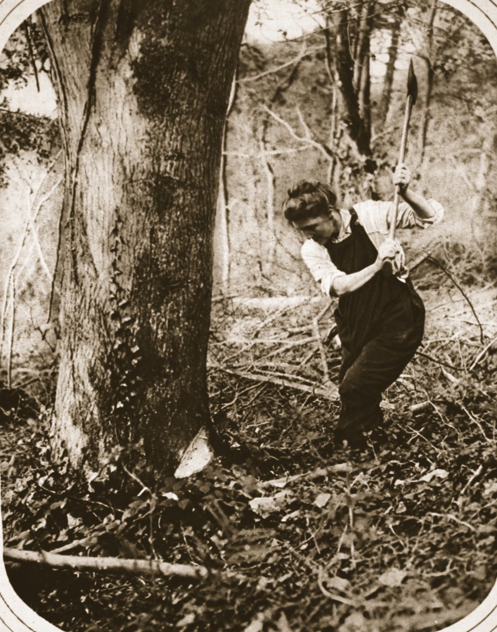 En anstrengende kvinne-arbeider på Weston-Super-Mare; felle trær i en Somerset-skog, illustrasjon fra The Illustrated War News, september 1916 (sepia-bilde) av English Photographer