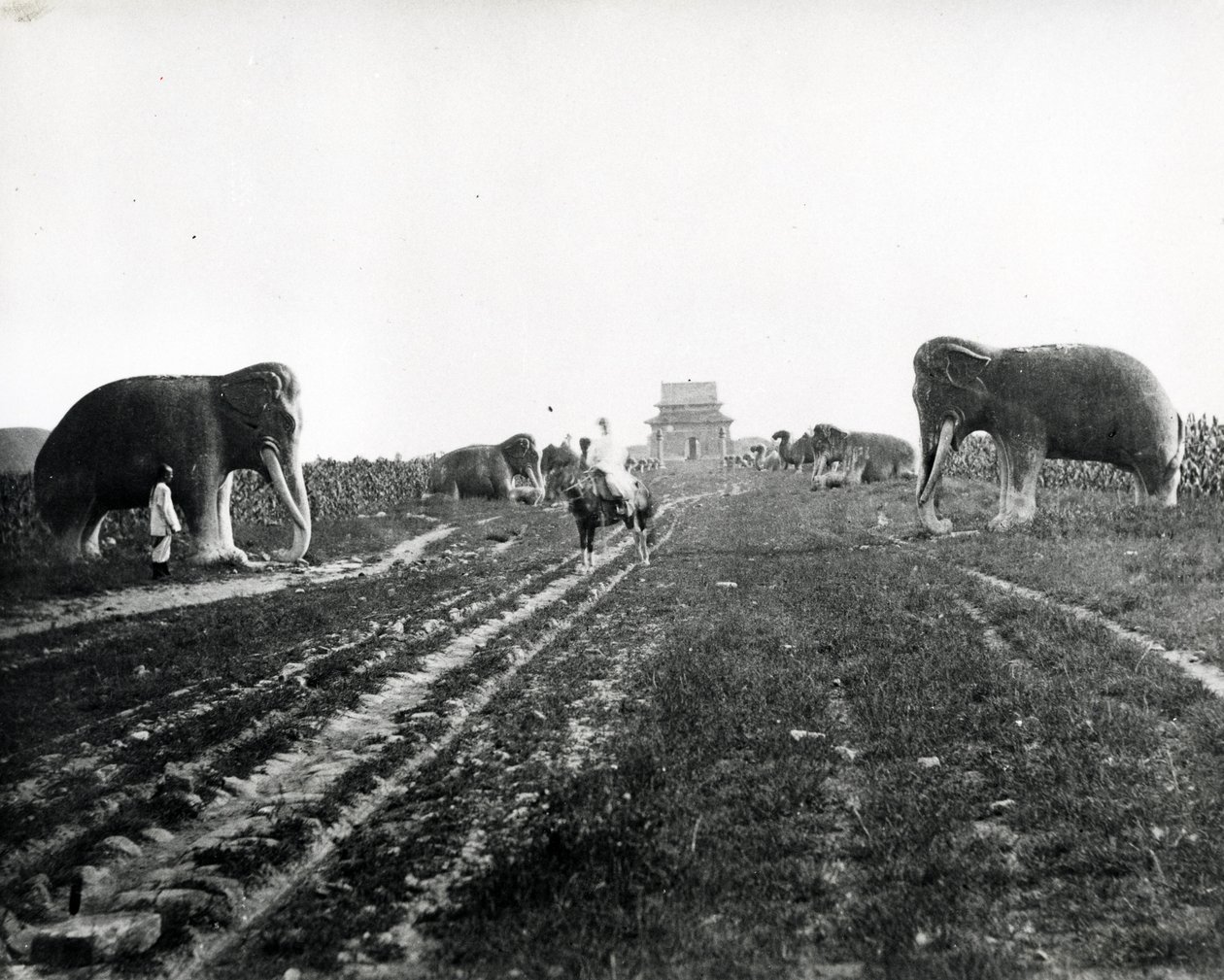Avenue of Guardian Animals Leading to the Ming Tombs, Peking, ca. 1868-70 av English Photographer