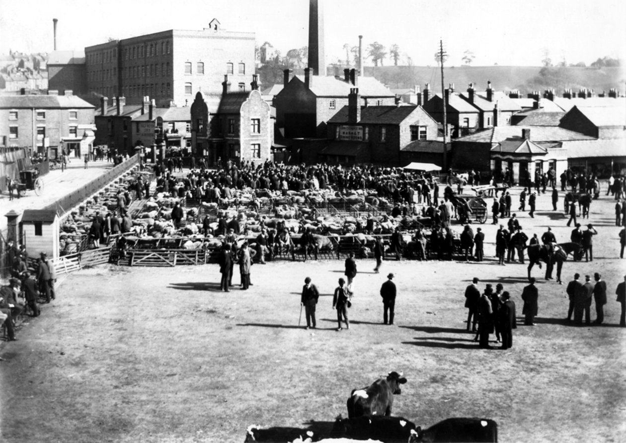 Storfe- og engrosmarked, Kidderminster, 1900 av English Photographer