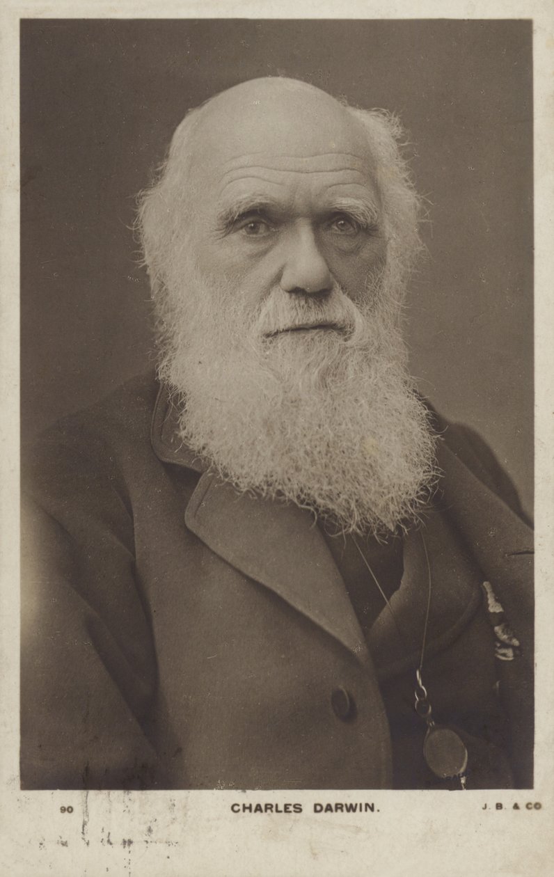 Charles Darwin (1809-1882), engelsk naturforsker av English Photographer