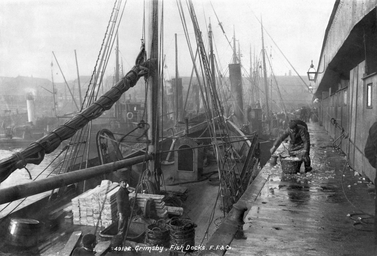 Fiskedokker, Grimsby, tidlig på 1900-tallet av English Photographer