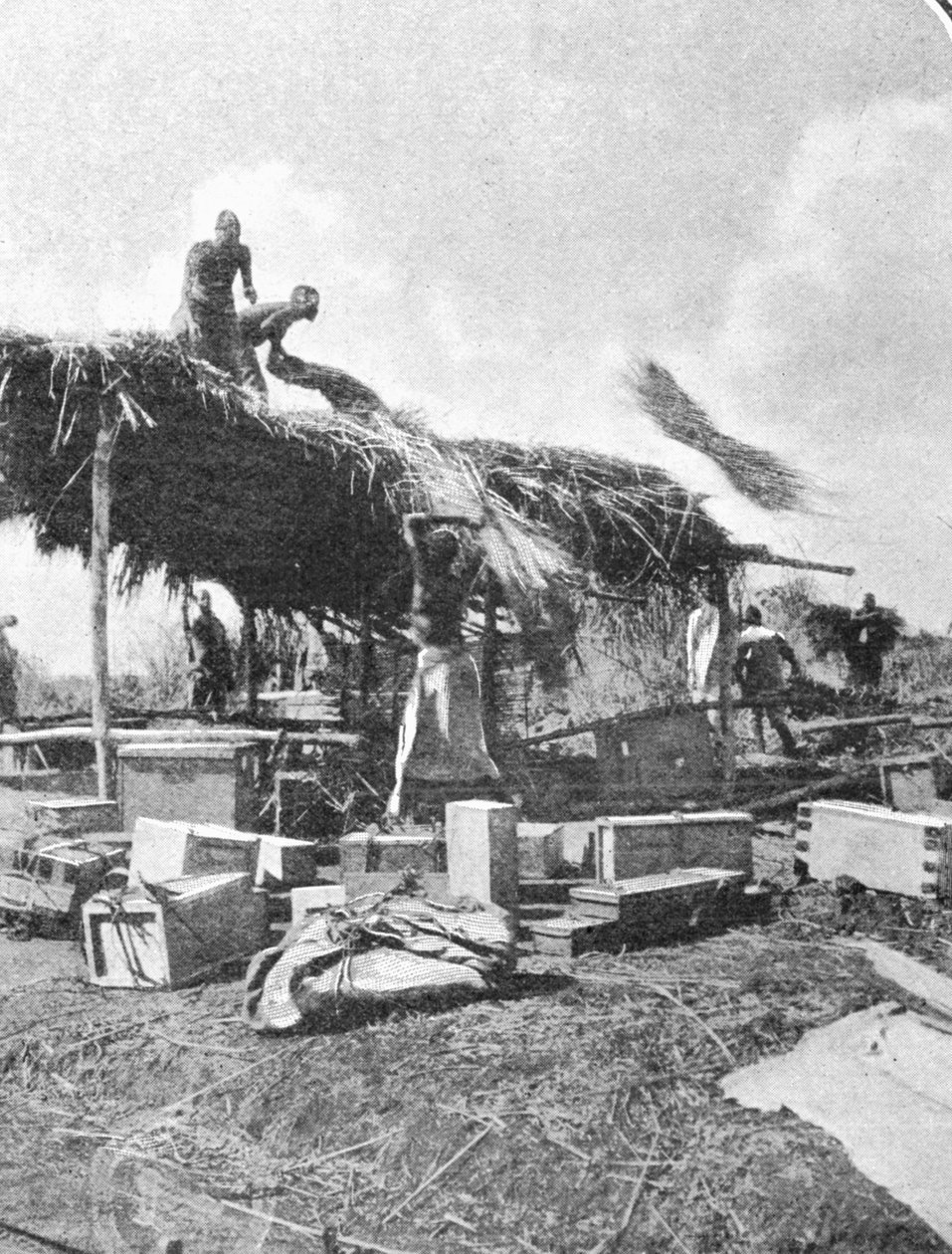 Natives Building a Rest-House, fra en artikkel med tittelen To the Mountains of the Moon publisert i The Graphic 27. oktober 1906 av English Photographer