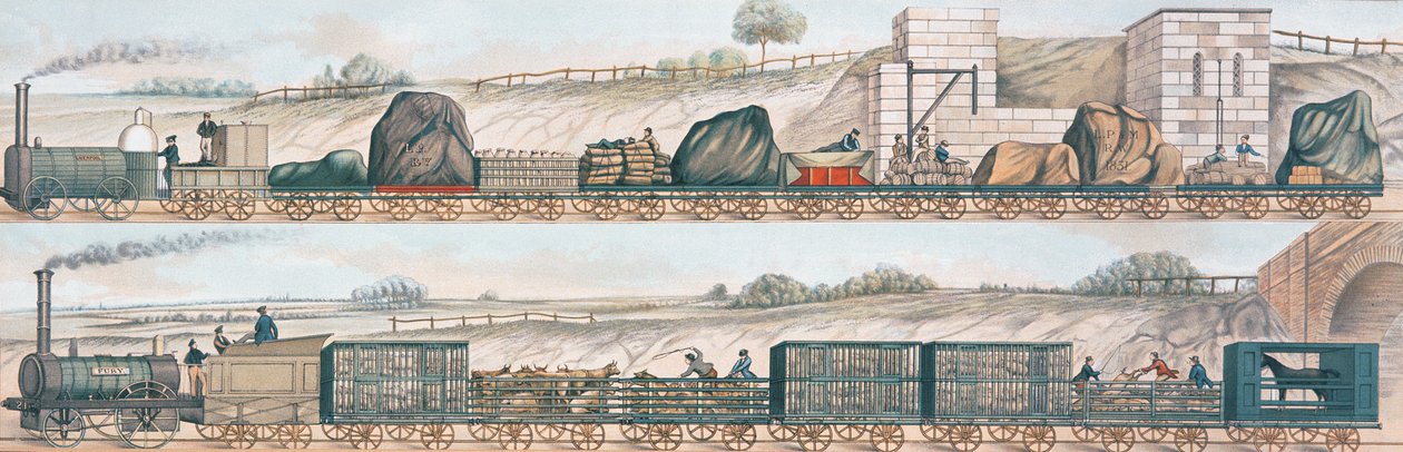 Liverpool og Manchester Railway: Frakt og husdyr av English School